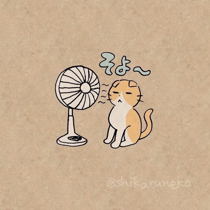 myototo's tweet photo. 제가 밀고있는 주주 모에화입니다
완전히 쭈냥이 https://t.co/UrgnHvucEH