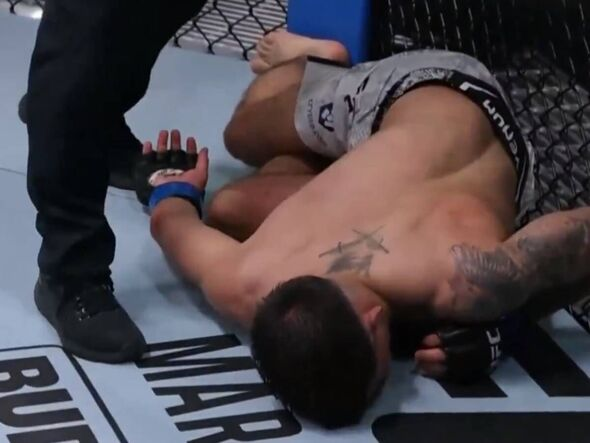 20CMlife's tweet photo. @beuhsoe @imeretin_ilson @kevinlikesmma Don't let the Yamnaya larp distract you from the fact that you are an Albanian UFC fan,

When you watch UFC you see nothing but Albanians getting brutally colded. Albanian women need more Kavkaz male lineages to produce better fighters.
 Send Albina Drazhi our way kid https://t.co/IeORw8KUox