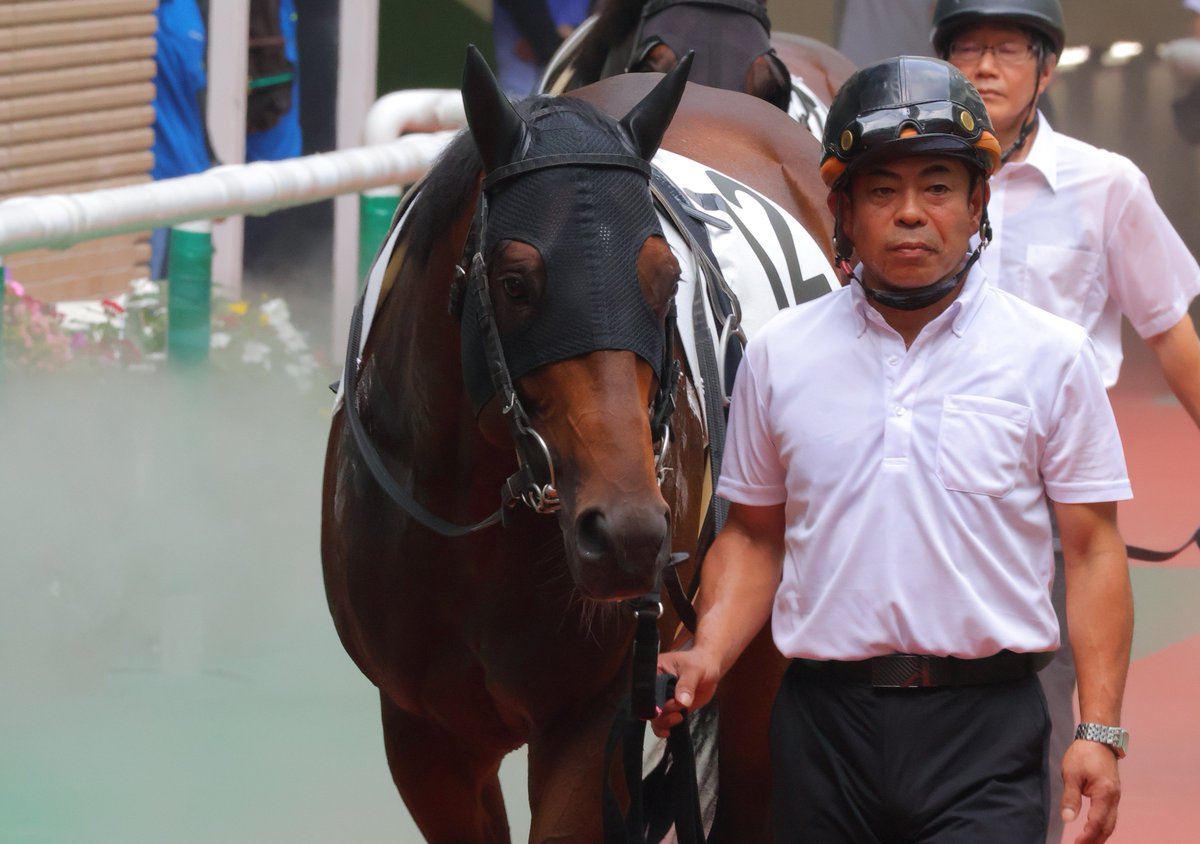 nop_rr29's tweet photo. 2026/07/19
福島 12R 3歳以上1勝クラス
☆ウインドワンピース☆野中悠太郎騎手
 #ウインドワンピース
 #野中悠太郎 騎手 https://t.co/3ryIMF4uu6