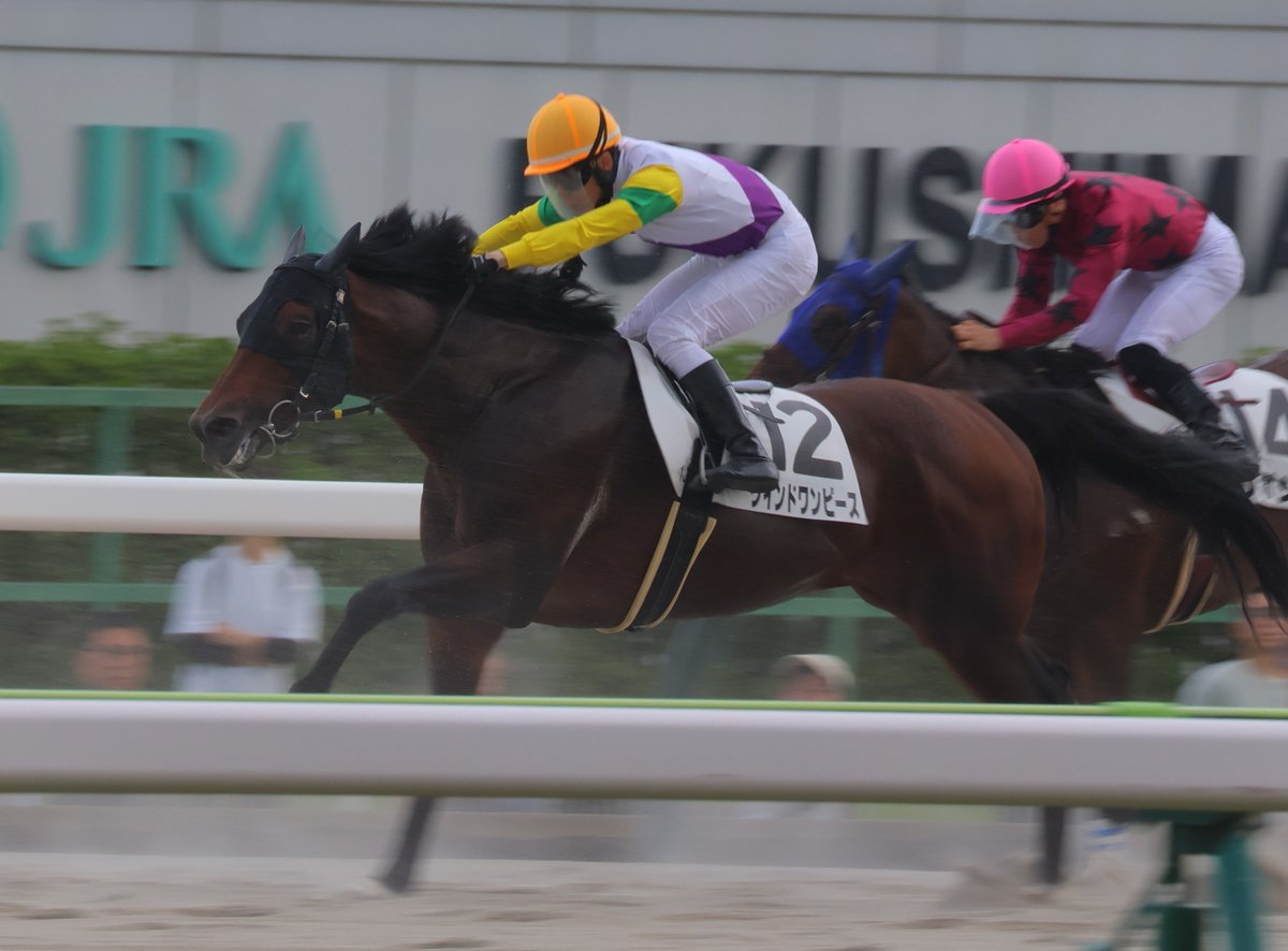 nop_rr29's tweet photo. 2026/07/19
福島 12R 3歳以上1勝クラス
☆ウインドワンピース☆野中悠太郎騎手
 #ウインドワンピース
 #野中悠太郎 騎手 https://t.co/3ryIMF4uu6