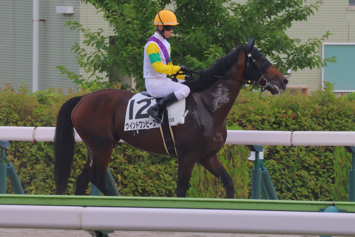 nop_rr29's tweet photo. 2026/07/19
福島 12R 3歳以上1勝クラス
☆ウインドワンピース☆野中悠太郎騎手
 #ウインドワンピース
 #野中悠太郎 騎手 https://t.co/3ryIMF4uu6