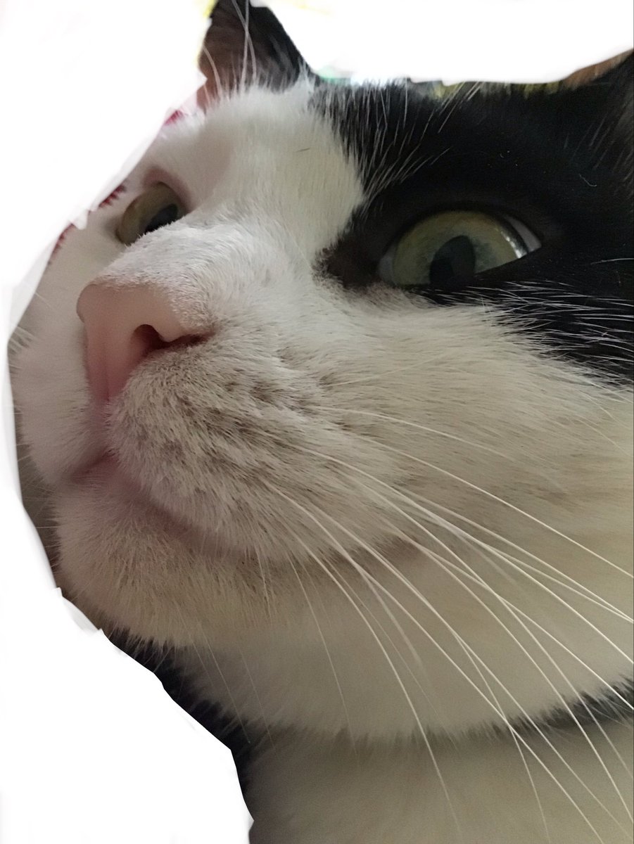 theshedding's tweet photo. One day she's gonna die and I'm actually gonna kms https://t.co/8rY9FAthCo