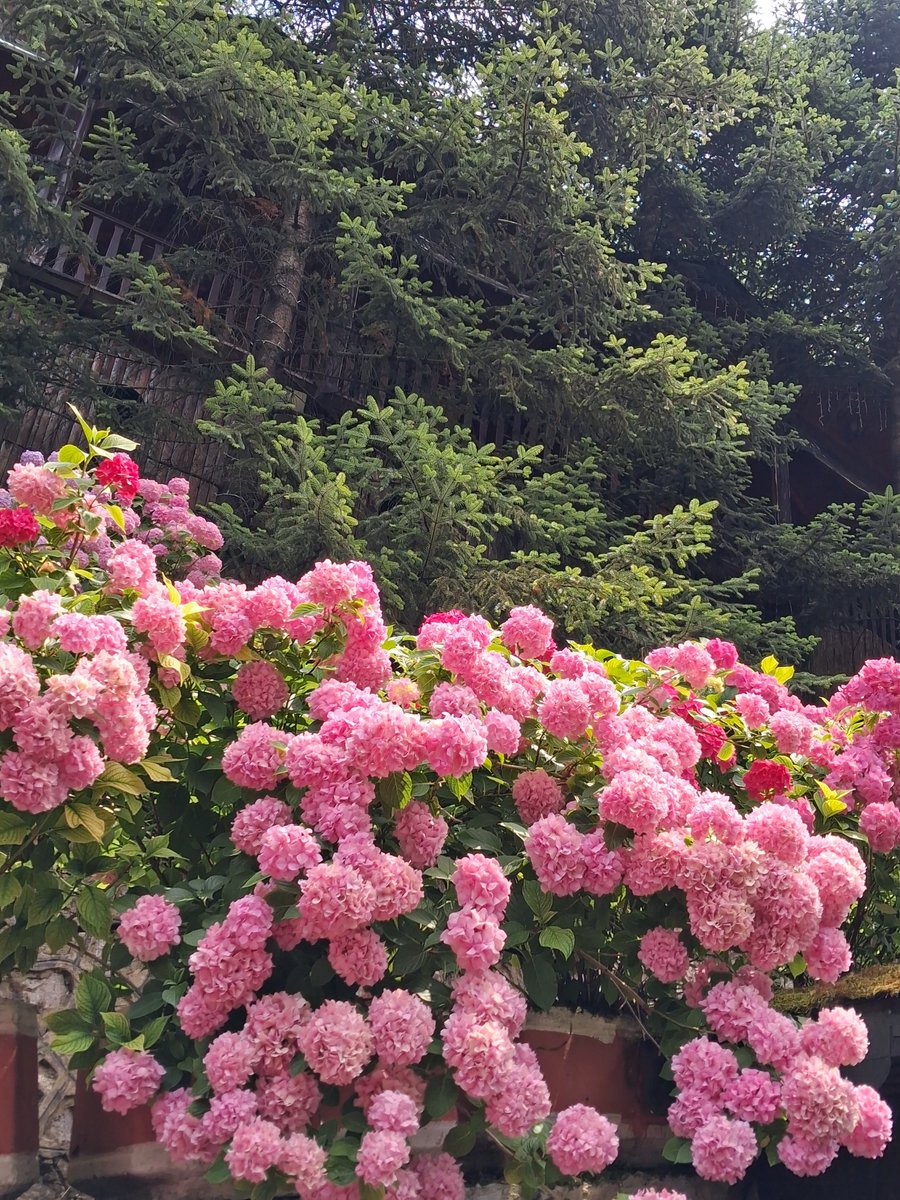 ogzkbr's tweet photo. "Yeryüzünde sizin için yarattığı değişik renklerdeki şeyleri de sizin hizmetinize sunmuştur. Elbette bunda öğüt alan kimseler için bir ibret vardır...
(Nahl sr /13 ) https://t.co/9ES9y31C1C