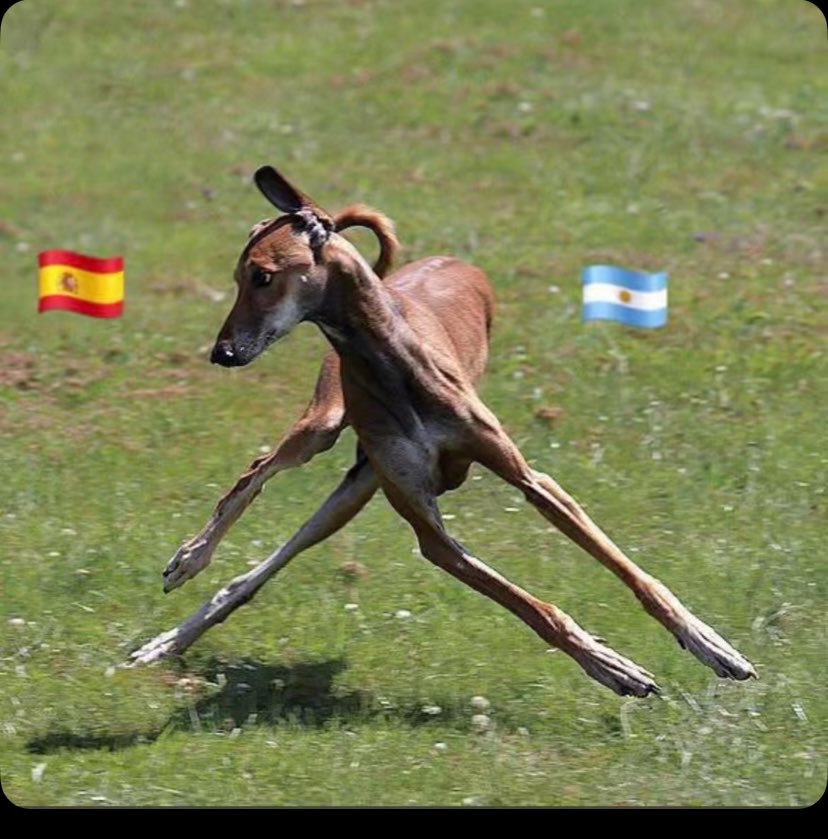 Dimarco4600's tweet photo. @ActualiteBarca Whalla je sais pas https://t.co/Jpj33aqUMU