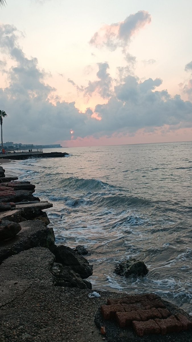 NrcnAE's tweet photo. Adım adım gün doğumu
umudu aşılıyor
#fotoğraf #fotoğrafmakinam #fotoarte #fotocatchers #poemoftheday #poems #poemoftheday #gözümdenkareler #gözümden #see #vision2110 #vision2110özeldefteri #geleceğemektup #geleceğemektupyolla #uzayamektup #vision2222 https://t.co/SWW6YjI60q