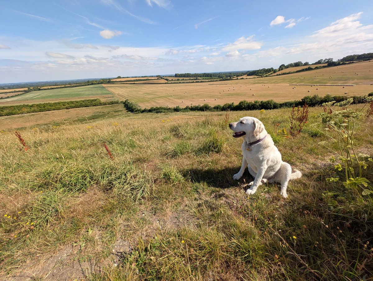 Peterkweedon's tweet photo. Fabulous views over Hampshire and Berkshire from Hannington https://t.co/NMQ8O0JY9q
