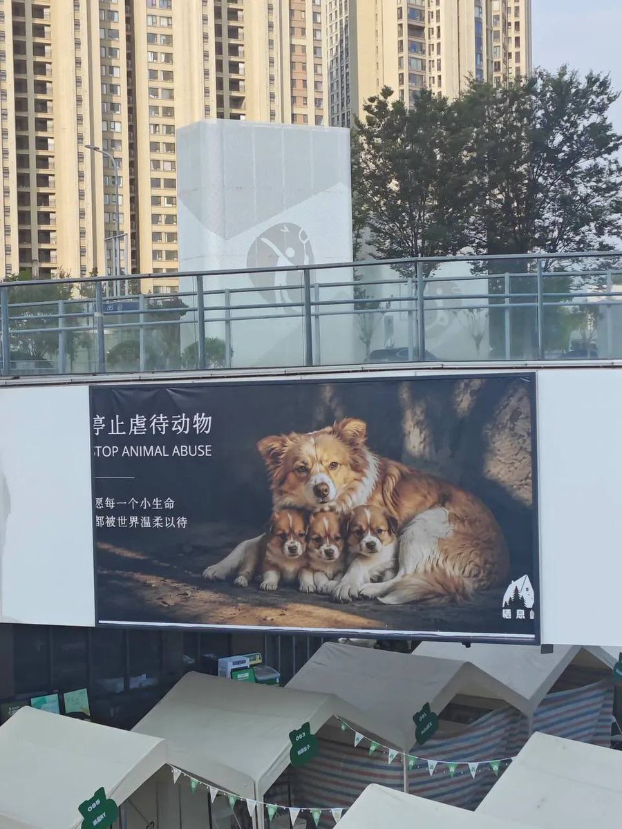 WillyundAya's tweet photo. 一只狗的死亡，背后是中国儿童教育的死亡

如果把旺旺事件仅仅理解成四个孩子的残忍，那么所有人都会错过真正值得恐惧的地方。

真正的问题不是四个孩子。

真正的问题是，一个社会，到底培养出了什么样的孩子。

旺旺只是死于四根木棍。

而制造木棍的人，却是一整套教育制度。

这起事件最令人震惊的，并非暴力本身，而是施暴过程中所表现出的情绪状态。公开流传的视频和报道中，施暴者并非因恐惧或冲动而失控，而是在嬉笑、拍摄、分享的过程中完成了整个施虐行为。对于许多研究暴力行为的心理学者而言，这种现象通常比一时冲动更值得警惕，因为它意味着受害者已经不再被视作一个能够感受痛苦的生命，而只是一个可以娱乐、展示和消费的对象。

一切教育，归根结底都在回答一个问题：

别人是不是和我一样，也是一个值得尊重的人。

而中国儿童教育，很少回答这个问题。

相反，它投入大量时间去回答另外两个问题。

第一，是如何成为一个“让父母满意”的孩子。

第二，是如何成为一个“让国家满意”的孩子。

从小学开始，服从、牺牲、听话、竞争、考试、排名、集体荣誉，构成了教育评价体系的重要内容。与此同时，真正关于同理心、情绪管理、冲突解决、生命价值、理性思辨和公民责任的教育，却往往处于边缘位置，甚至缺位。

一个孩子，从小学会的是如何服从权威，却没有充分学习如何理解弱者。

那么，当他第一次拥有比别人更大的力量时，他可能并不知道力量意味着责任，而只知道力量意味着支配。

旺旺，只不过成为了那个比他们更弱的对象。

责任也被归咎于家庭。

家庭当然重要。

但家庭从来不是孤立存在的。

过去几十年，中国高速工业化过程中，大量农村人口进入城市工作，形成了庞大的留守儿童群体。与此同时，户籍制度使不少家庭长期处于分离状态，孩子由祖辈照顾、父母长期缺席成为不少地区的现实。这些现象并不意味着所有留守儿童都会出现暴力行为，但长期缺乏稳定陪伴、安全依恋和情感支持，被不少儿童发展研究视为需要重视的风险因素之一。

教育心理学反复证明，一个长期缺乏安全感的孩子，并不会自然成长出同情心。

相反，他更容易把控制别人，当作重新获得安全感的一种方式。

如果一个社会长期生产心理创伤，却没有建立足够的心理支持体系，那么创伤就可能以新的形式不断传递。

于是，昨天受伤的人，明天可能伤害别人。

制度会影响教育资源如何配置，也会影响学校和家庭优先培养什么能力。

如果教育体系持续把考试成绩、服从纪律和政治表达置于更重要的位置，而对心理健康教育、生命教育、同理心训练投入不足，那么社会就可能更频繁面对类似事件。

这种暴力并会止于动物。

犯罪学长期存在一种值得关注的观察：部分严重暴力犯罪者在成长过程中曾有虐待动物的经历。但必须强调，这并不意味着虐待动物的儿童未来一定会实施严重犯罪，也不能据此对个体作出确定性判断；它只是提醒社会，应及早进行心理干预和教育，而不是忽视这些信号。

要反思的不仅仅是一只狗的生命。

而是一整代孩子。

因为一个社会真正的文明程度，不只是看它如何教育孩子取得成功，更要看它如何教育孩子面对弱小、面对生命、面对自己拥有的力量。

旺旺事件最终会过去。

热搜会消失。

视频会被删除。

但如果教育始终没有回答那个最基本的问题——

生命为什么值得被尊重？

那么，下一只狗、下一个受害者，仍可能出现。

而当一个社会不断培养出能够平静伤害弱者的人，它失去的，不只是动物保护的底线。

更是人与人之间最基本的信任、同情与人性的光辉。