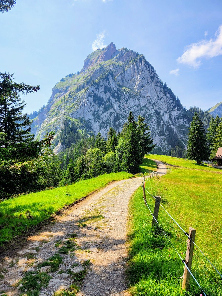 HikingSwitzerland tweet media
