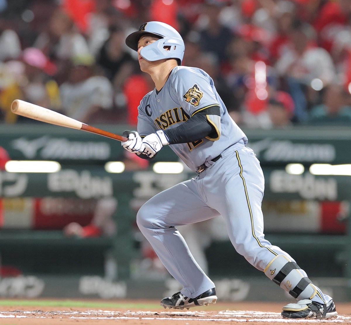 dailytigers2026's tweet photo. 坂本選手の思い。

「グラウンド上では、みんなやるか、やられるかでやっている。それはこっちもそうだし、向こうもそう。そういう勝負をしてるから熱くなるのも当たり前だし、実際ケガ人が出たら苦しいのはこっち。でも、そういう厳しいところで勝負できないと、僕らもやっていけないのはわかってる」 https://t.co/NPK8MEZ66x