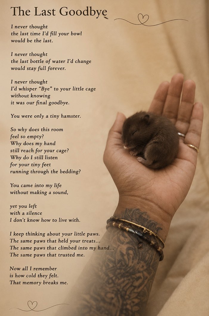 JoyMurthy's tweet photo. 💔🐹 https://t.co/yMrZ2SGA3F