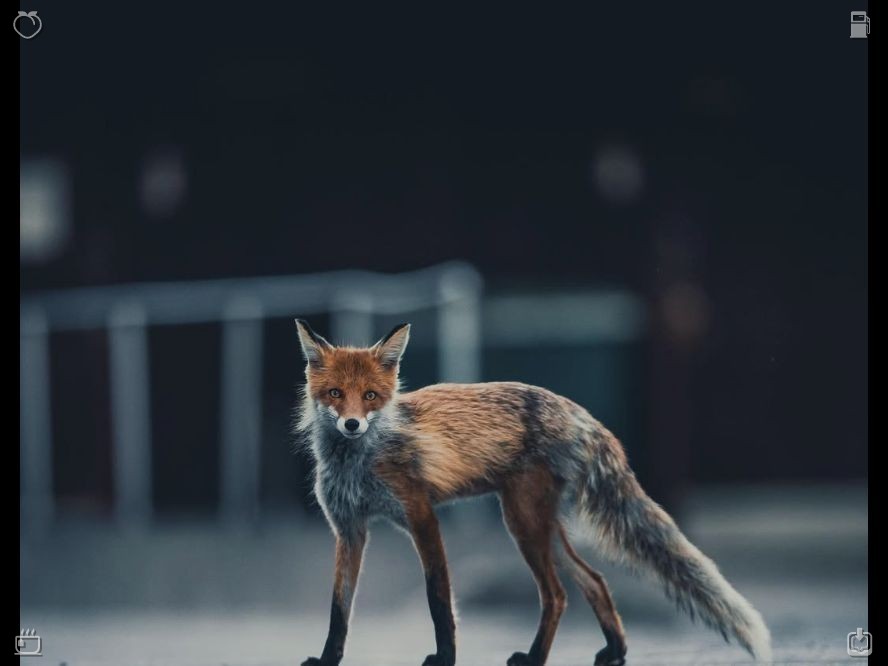 Swadekris's tweet photo. Tender, balanced daily rituals gently reconstruct your authentic self over time. Remain devoted to uplifting, modest habits, and patiently witness the gradual emergence of meaningful personal growth as days go by. Trust in your own unseen strength. https://t.co/2iA9mjA4t5