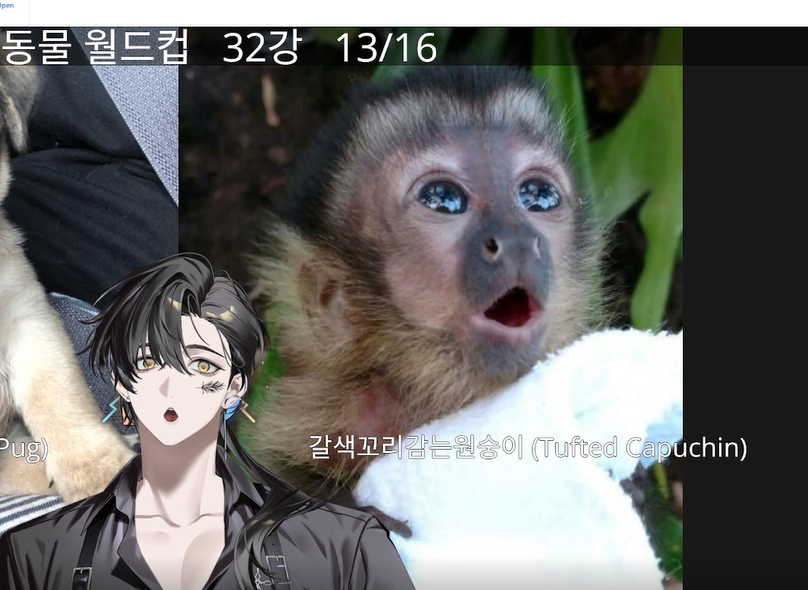 샤아 tweet media