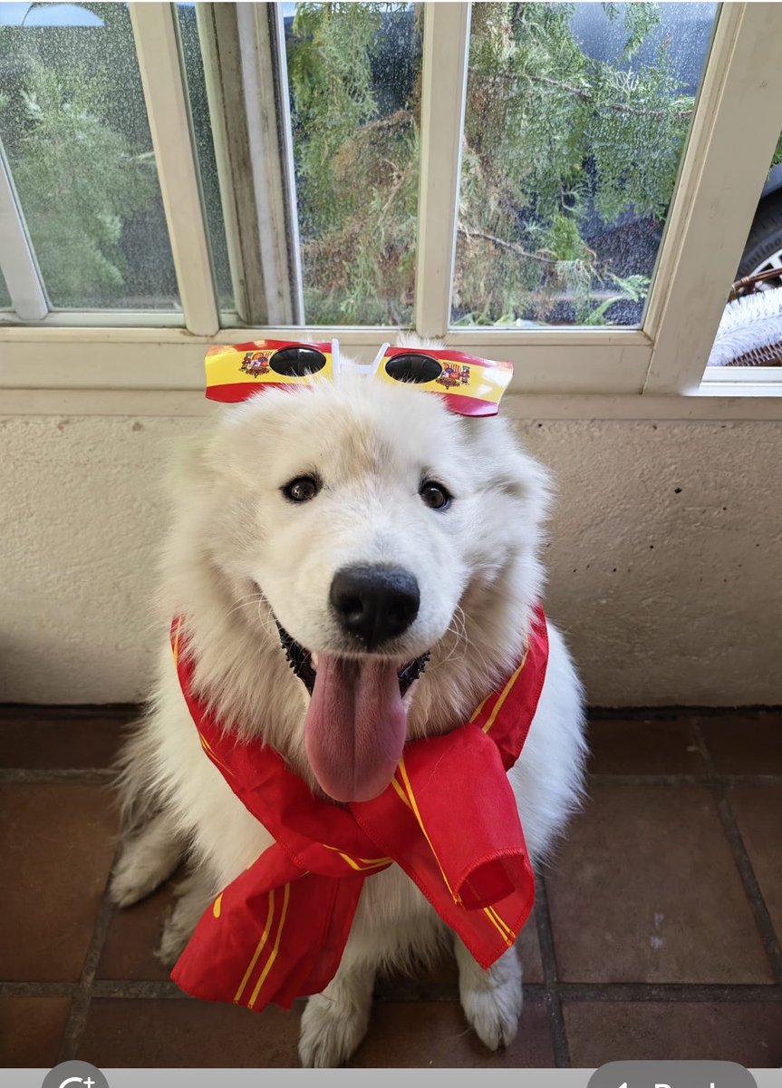 grace_araneta's tweet photo. Vamos🇪🇸
#FifaWorldCup2026 https://t.co/I9G9paWiNS