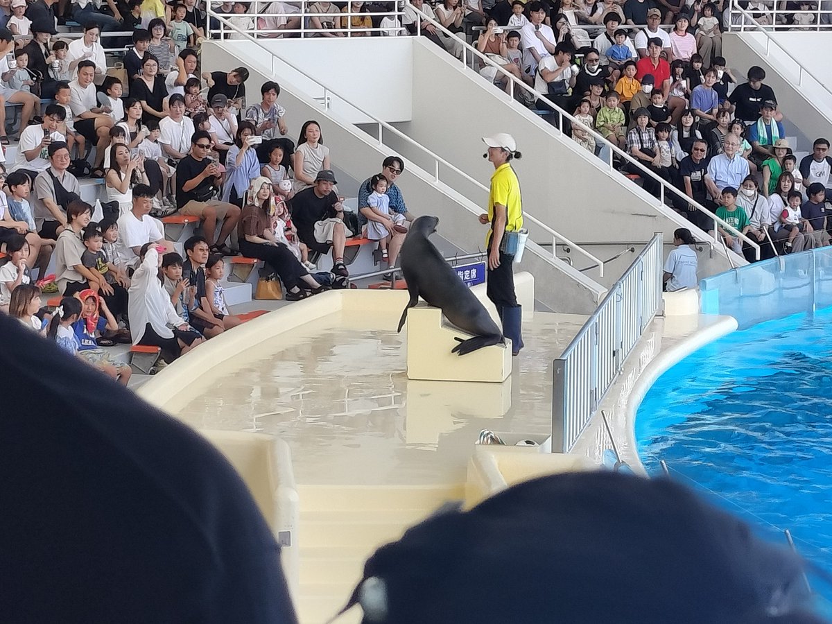 Kyapameru0's tweet photo. @hakataigiari 去年行った福岡のマリンワールド海の中道かなりよかったですよ。 https://t.co/LQtle4fYW6