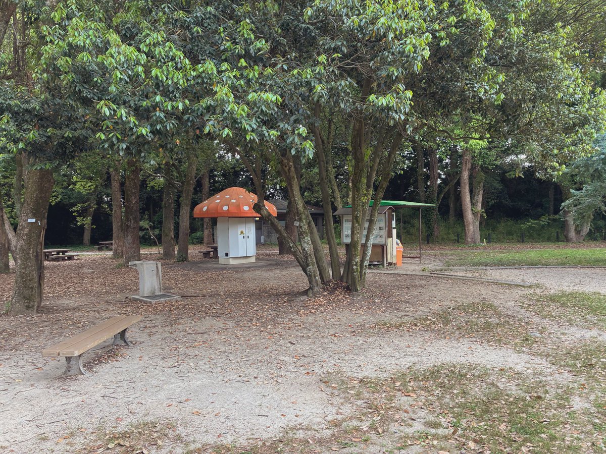 ninikatuu's tweet photo. 春くらいから、前より自然のあるところにちょこちょこ行くようになった🌳いつか行けなくなる前に、行けるときには行きたいところに行きたい、後悔ないように！ https://t.co/tFRlaOKOtI