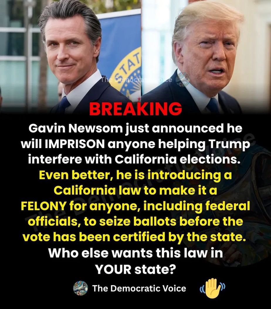 TheOnlyEsta2's tweet photo. Every state should be doing this‼️ https://t.co/0I96QERyP6