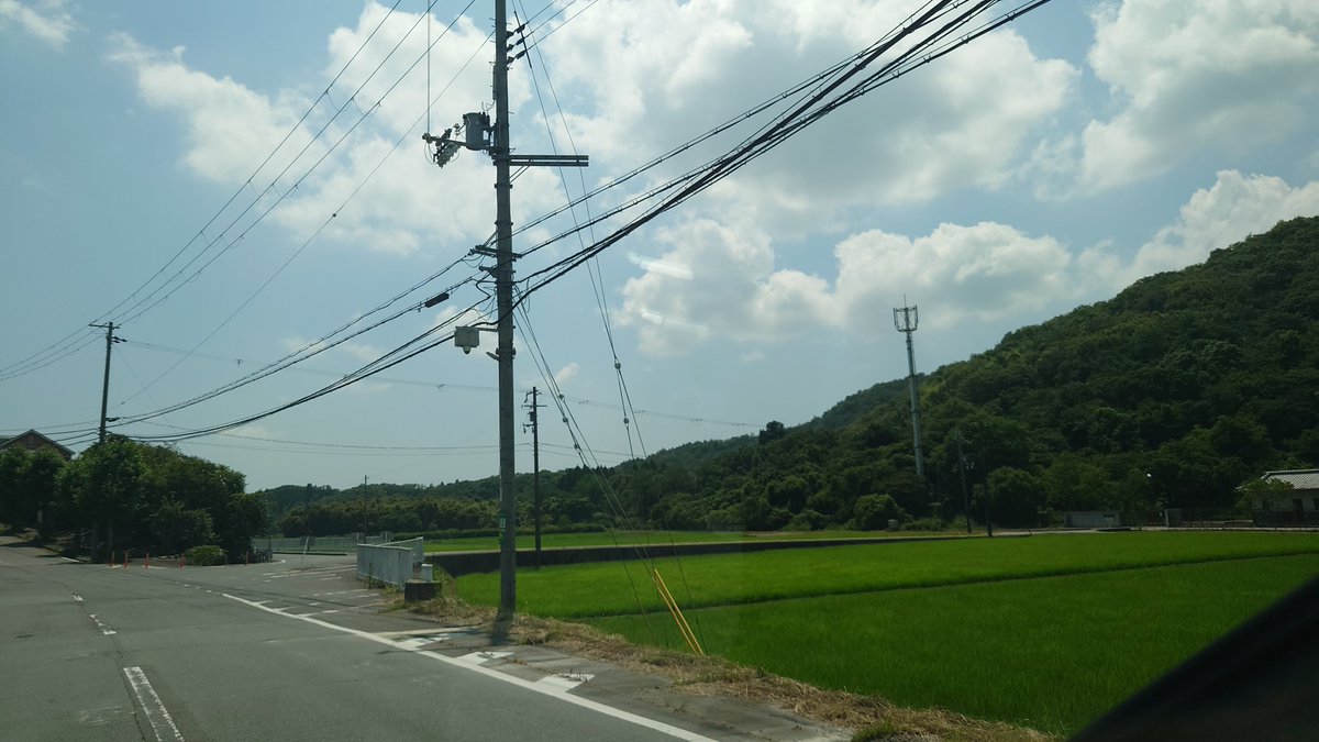 mis1917's tweet photo. 緑が夏を知らせてくれた🌳 https://t.co/xnPIz8gB30