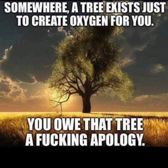 Rabid_Catfish's tweet photo. @MarkRuffalo @elonmusk https://t.co/1KCMjKuTn2