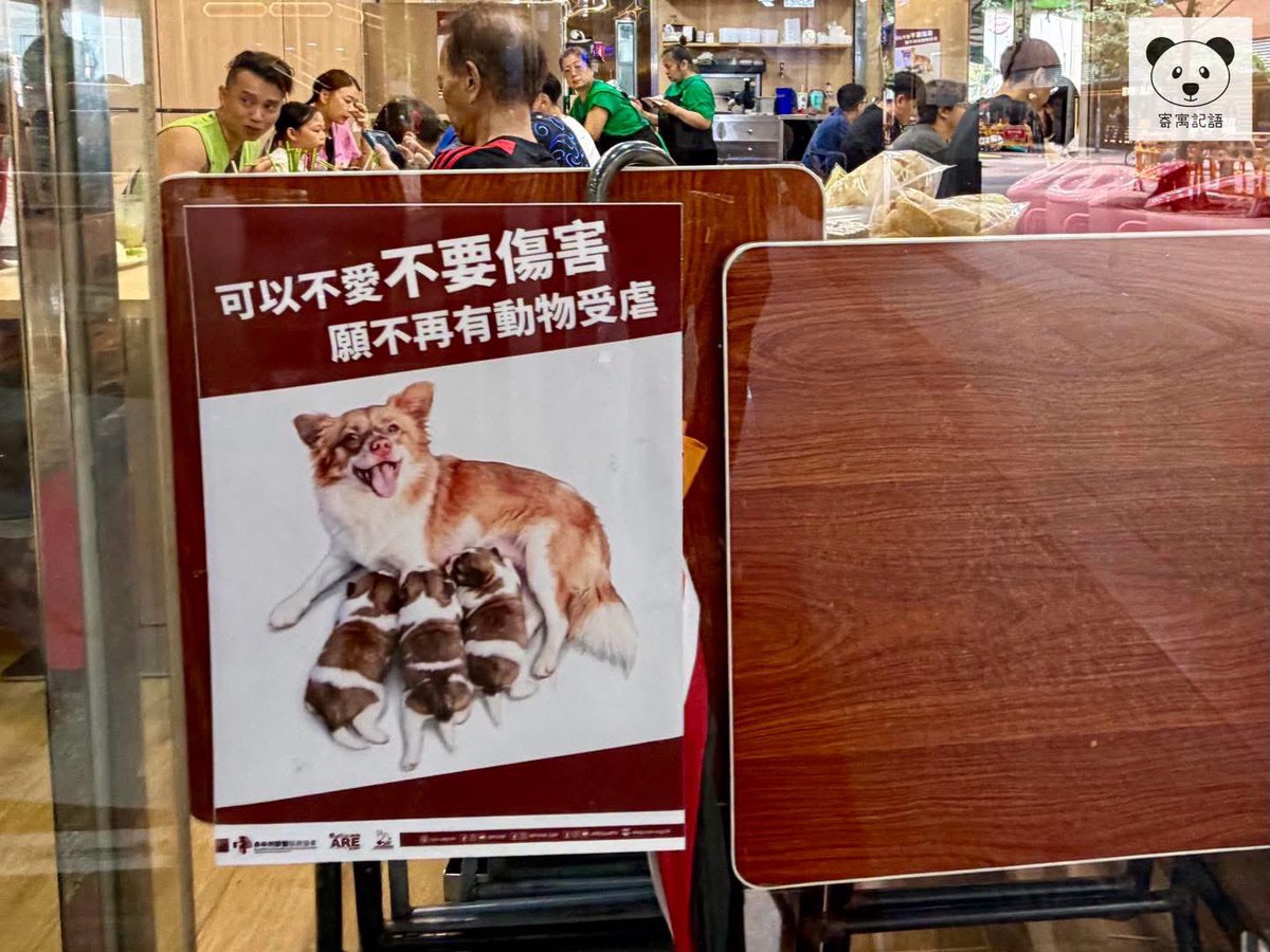GweiloX's tweet photo. 香港屯門餐廳設祭壇悼念旺旺及三幼犬 https://t.co/rTruGWDvN6