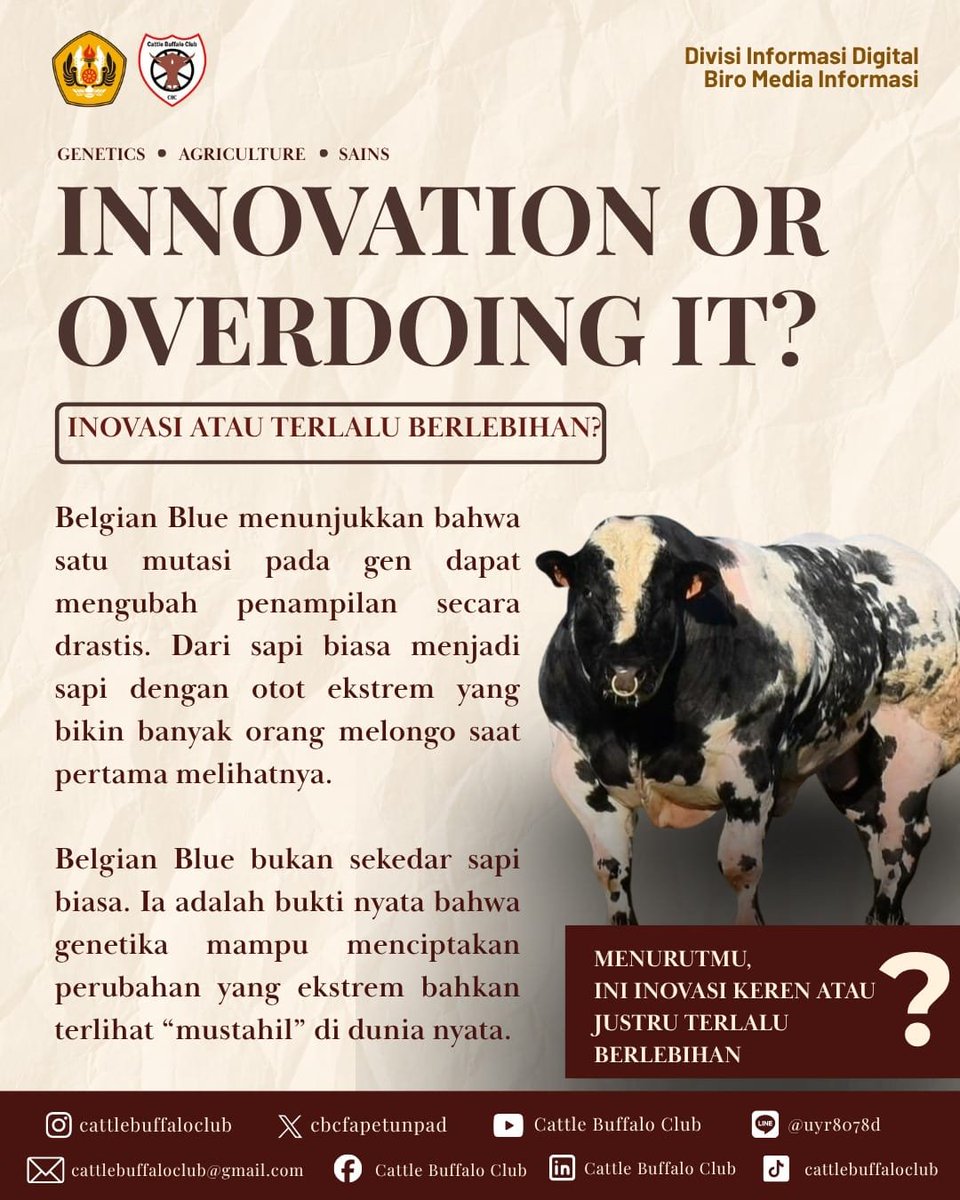cbcfapetunpad's tweet photo. Selain menghasilkan daging yang tinggi, ras sapi ini juga menuai kontroversi karena sering mengalami kesulitan saat melahirkan. Menurutmu, Belgian Blue adalah keajaiban genetika atau terlalu ekstrem?
Cattle Buffalo Club 2026
#KitaBedaKitaUnggul
#CBCFapetUnpad #BelgianBlue https://t.co/2ADCJ1rqu4