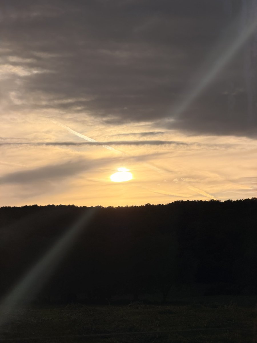 PineappleCervix's tweet photo. ☀️☀️ https://t.co/v4H0BF9W43