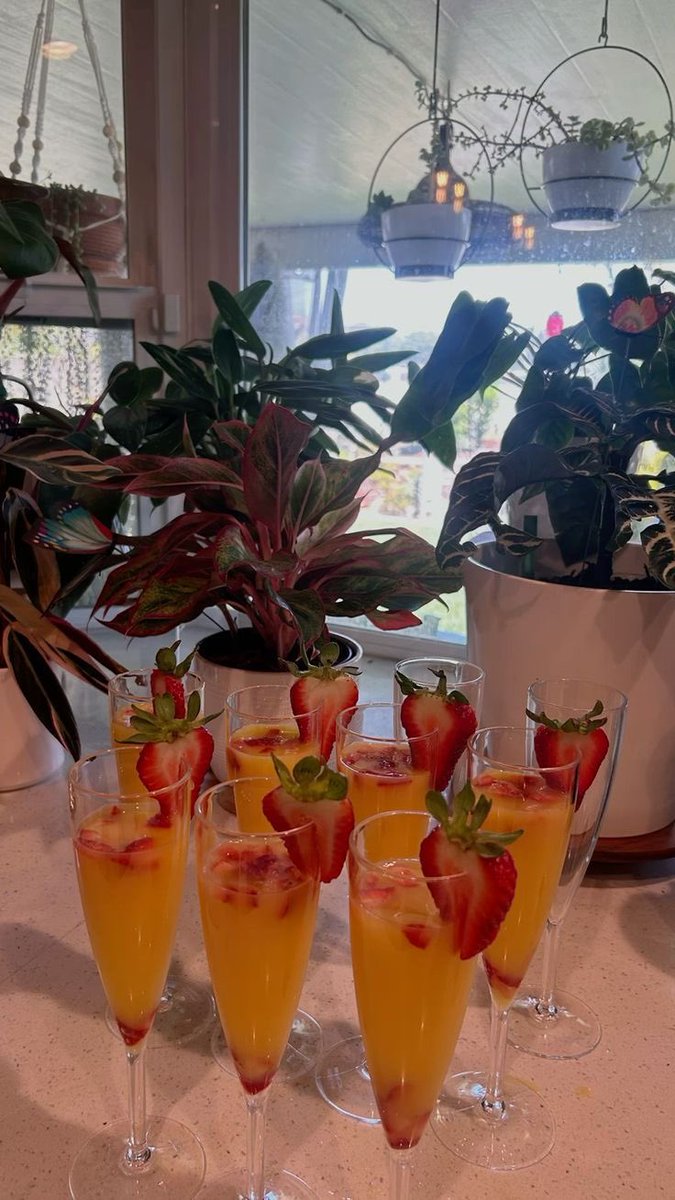 bossbabejass's tweet photo. Mimosa Sunday 😍 https://t.co/KeYpfVXEol