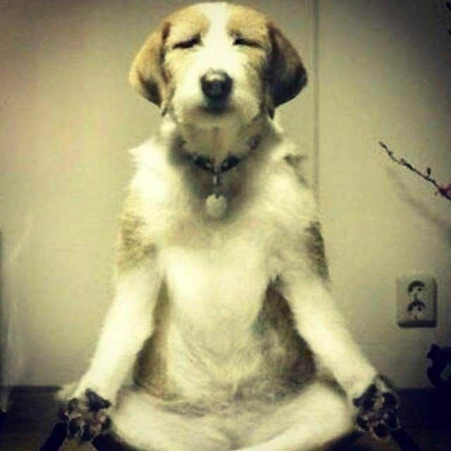 xoxolilic0's tweet photo. lei da suposição 
lei = suposição
suposição = lei
o que vc SUPÕE eh LEI 
suas suposições sao a lei da sua realidade https://t.co/CFx3IY703M
