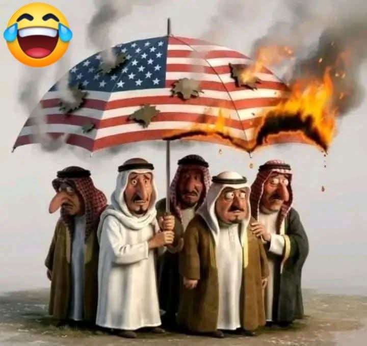 ArashEbrahim12's tweet photo. پس چرا ترامپ کمک نمیکنه 😢 https://t.co/cKELEWUmBc