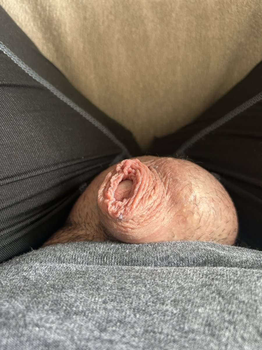 SmallDickPride's tweet photo. ☀️ https://t.co/F8l8r9BB4c