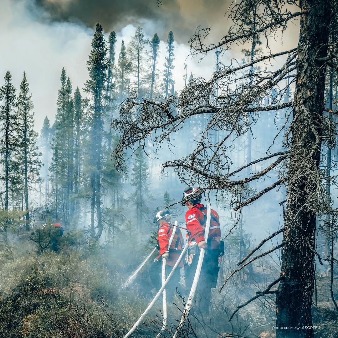 AmbCanEUA's tweet photo. Alors que la saison des feux de forêt se poursuit, le Canada renforce ses opérations au sol grâce à plus de 10 000 pieds de tuyaux d’incendie et à 100 pompes. Le personnel et l’équipement sont déployés à l’échelle nationale là où l’activité des feux est la plus intense. https://t.co/x74MyMVvSD