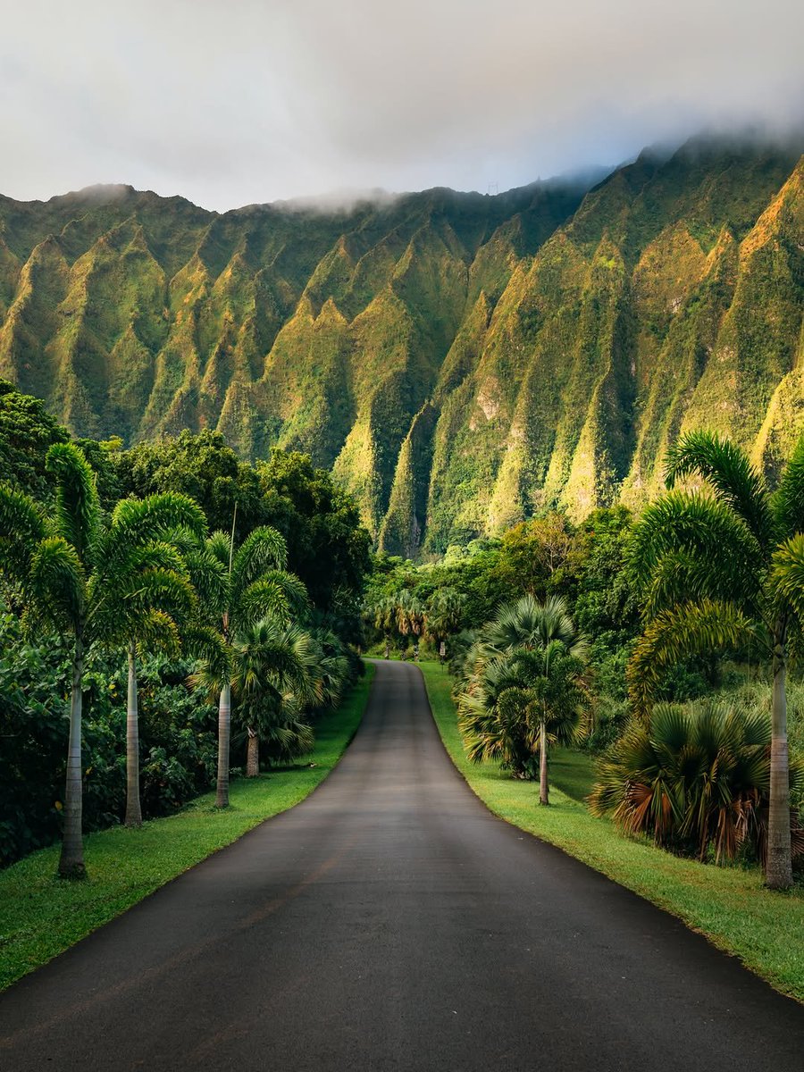 TravelBucketX's tweet photo. Oahu , Hawaii 🇺🇸 https://t.co/9iuXh2KF1U