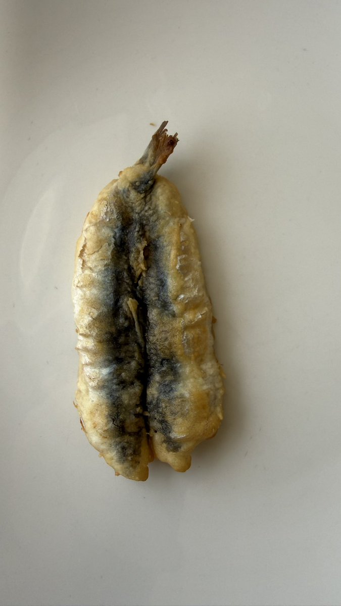 Pacomoraleschef's tweet photo. Suerte, es tener en Andalucía además en la misma calle a los Marinos José y Chiringuito Oasis. Producto superlativo, con toques ochenteros y disfrute asegurado. Mi domingo más corto de lo habitual en esa calle y en el Oasis. Vamos España 🇪🇸 Carajo ! https://t.co/RP8EUkUVxj