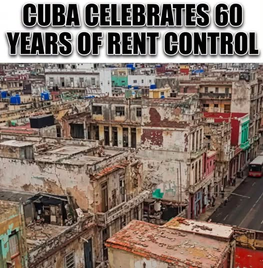 RickyDoggin's tweet photo. Is this the future of NYC? https://t.co/Wfs0vjK6FK