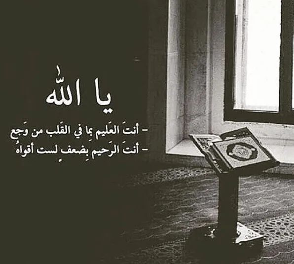 dancokhalil's tweet photo. https://t.co/Hbsx44PxxT