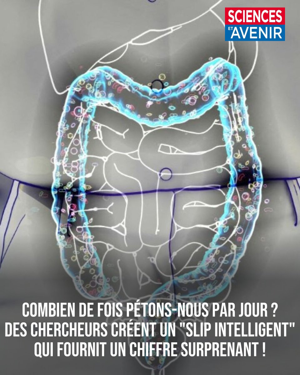 Sciences_Avenir's tweet photo. Tout le monde pète. Mais dans quelles proportions et à quel moment restait pour le moment une question insoluble !

Pourtant, la réponse est importante pour avoir une meilleure compréhension de nos microbiotes 👉 https://t.co/yl0R1KGezL https://t.co/FUJsCnk3JJ