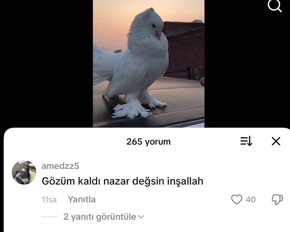 traderus tweet media