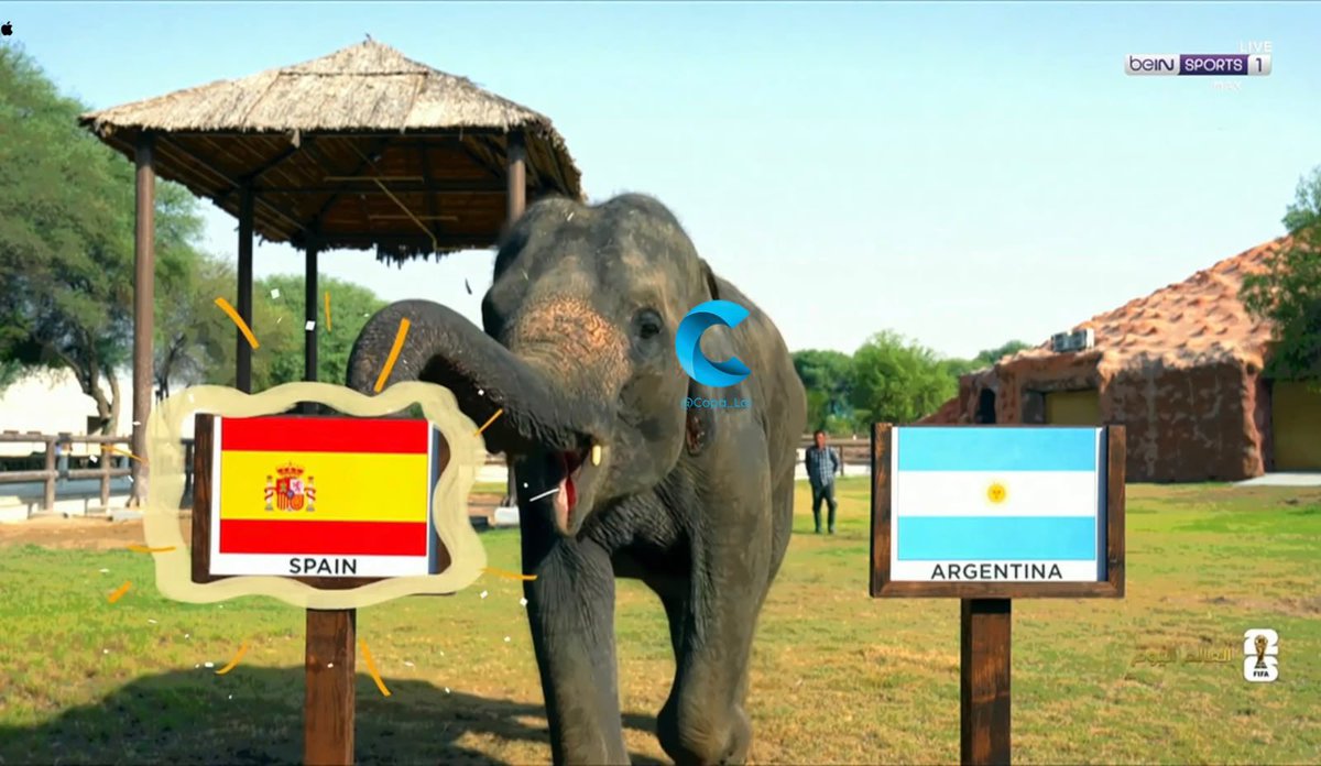 Copa tweet media