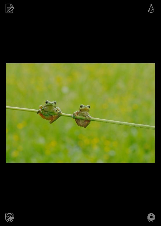 uno_uno_0127aaa's tweet photo. Each new sunrise offers new, delicate opportunities to readjust your entire gentle inner attitude, release old frailties, and move forward with courageous yet tender energy and compassionate self-dialogue during those calm early morning moments every day. Spread your happiness t https://t.co/FZas9Noq8T
