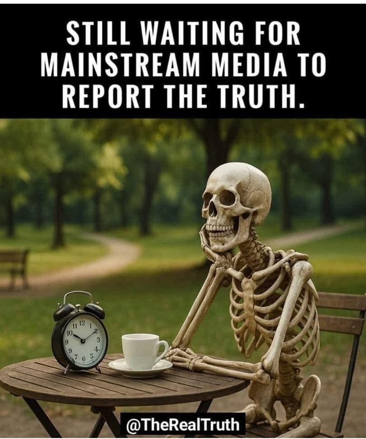 Segfried tweet media