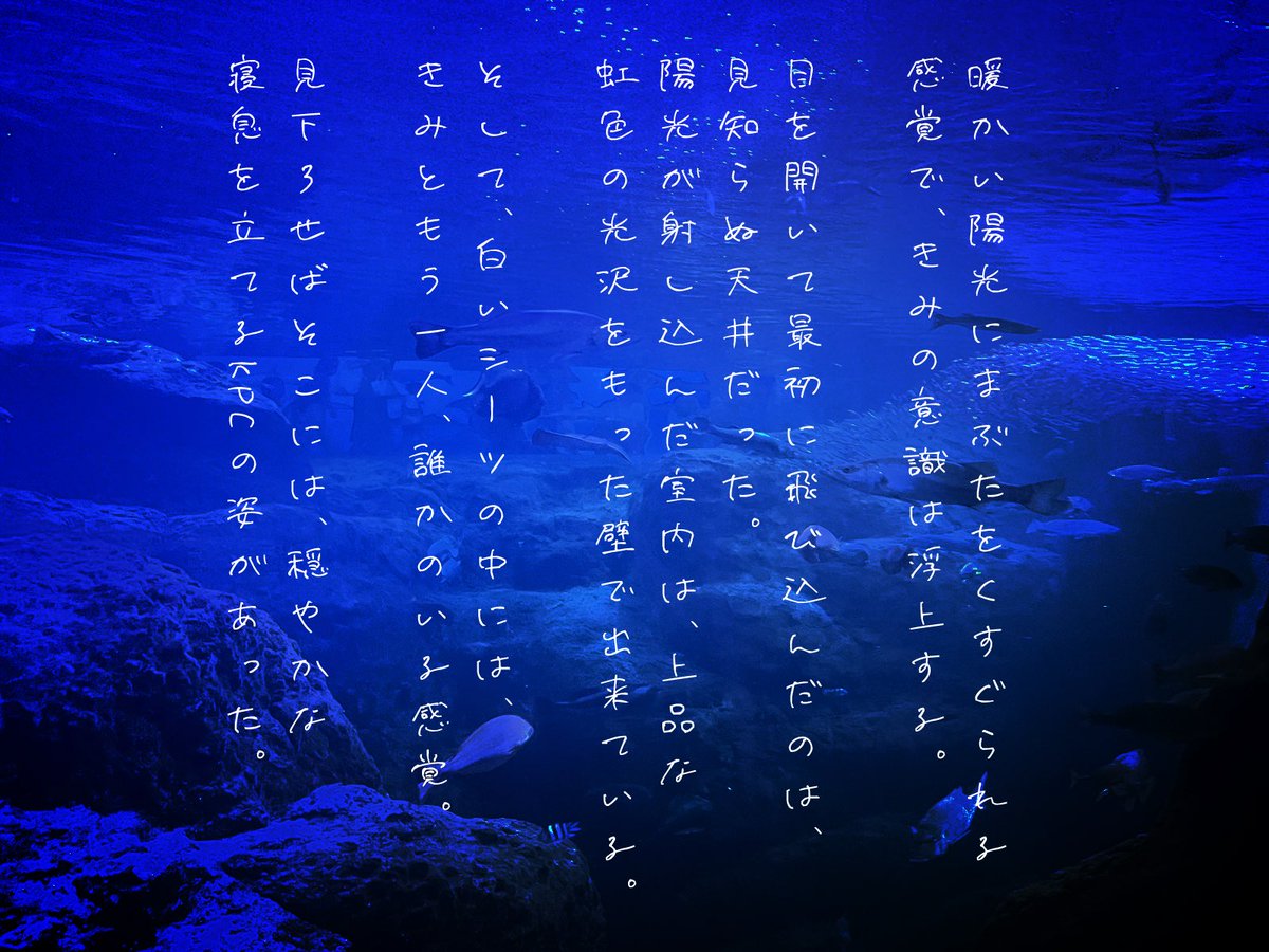 susk00_n's tweet photo. *:.｡..｡.:+・ﾟ・✽:.｡..｡.:+・ﾟ

CoC6th『うみをたつ』

✽:.｡..｡.:+・ﾟ・✽:.｡..｡.:+・ﾟ

◆ボイセ3時間程度
◆継続探索者向け

海の日なので公開します。海底の貝殻のおうちで二人でお話するシナリオです。無料シナリオです🪼🫧

https://t.co/hQ9Zq6s323 https://t.co/jtrdgp09lB