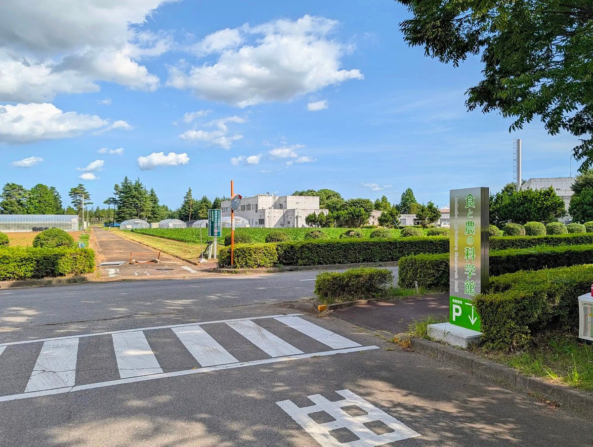 nienie_ea's tweet photo. 展示を見ていたら2時間半経過していた。これが無料だなんて、つくばとはなんと恐ろしいところなのか。
ちなみに自分以外の客は大体20分くらいでいなくなってたので、多分自分が長居しすぎただけである。 https://t.co/dXMhKyuPx8