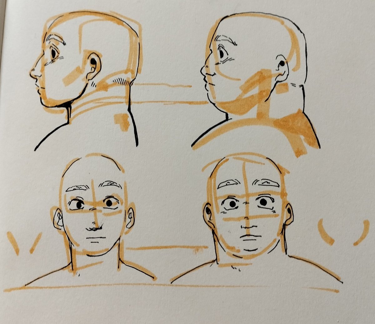 simplytibbs's tweet photo. I'm sorry I can't provide a proper tut right this moment sorry for the inconsistencies
The double chin to my understanding is the fat/skin hanging off the skull so you still see the chin line
Again gravity comes in handy
+Keep in mind the neck, fat distributes all around- https://t.co/4DWSjfI4RF