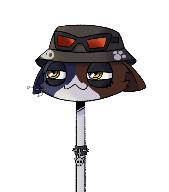 Novacat tweet media