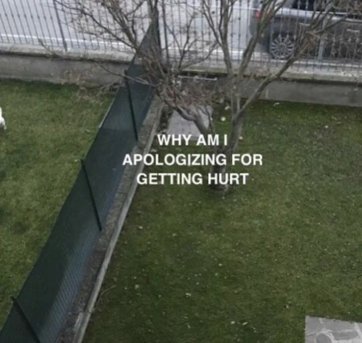 _woundedhealer_'s tweet photo. https://t.co/xk0gs0o7ie