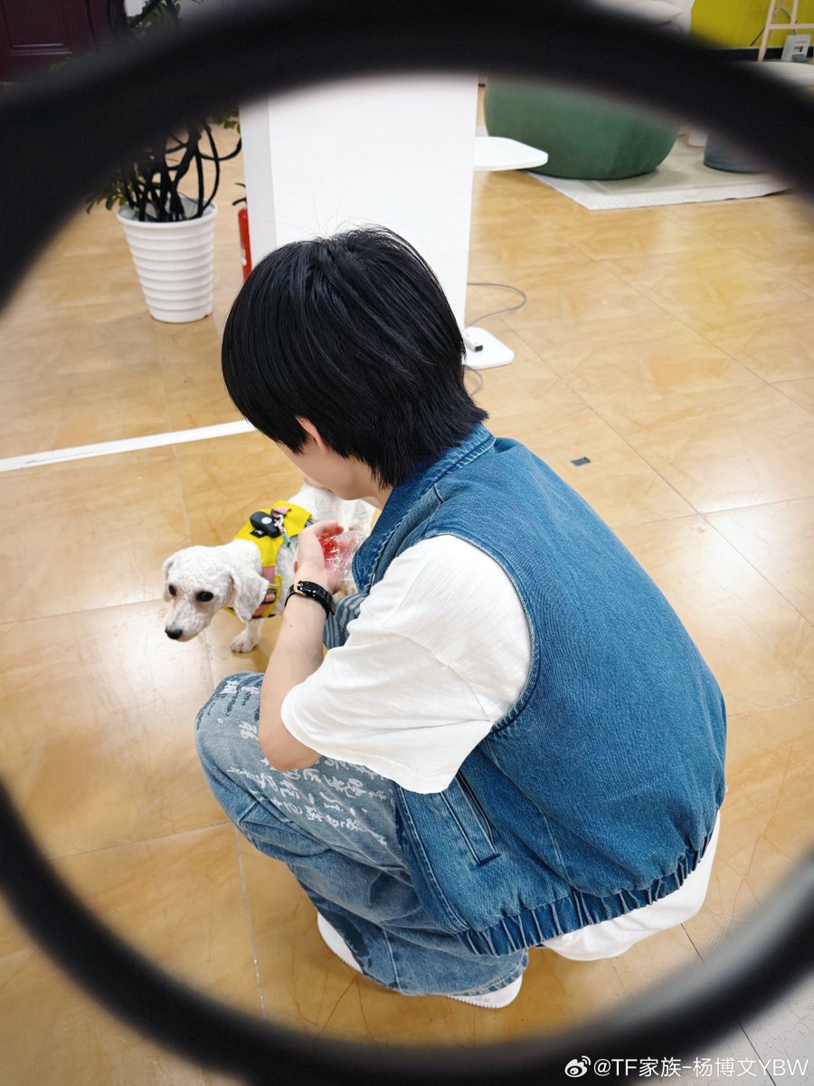 inzouet's tweet photo. 아기뒤통수
🫳🏻🫳🏻🫳🏻🫳🏻🫳🏻🫳🏻🫳🏻🫳🏻🫳🏻🫳🏻🫳🏻🫳🏻🫳🏻🫳🏻🫳🏻🫳🏻🫳🏻🫳🏻🫳🏻🫳🏻🫳🏻🫳🏻🫳🏻🫳🏻🫳🏻
이만큼쓰다듬고싶음 。。 https://t.co/VRvpjEeild
