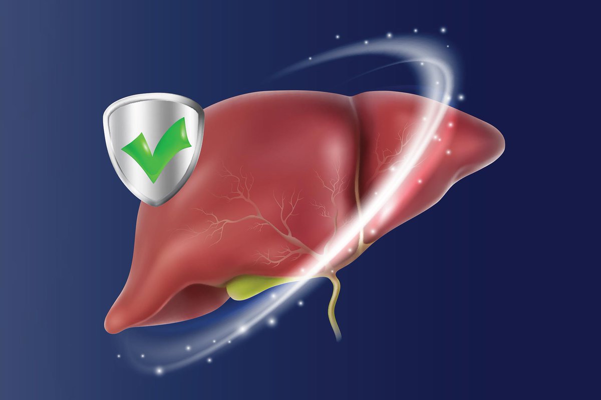 HITpol's tweet photo. This Experimental Drug Repaired the Gut and Reversed Severe Fatty Liver Disease https://t.co/mkEcavGcG0 https://t.co/4pwuzX3Hsl