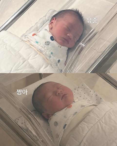 _U_topia__'s tweet photo. 와 짱아 오늘 세상에 나왔구낭 진심 유준이랑 똑닮았다
우쯔케 조땡 3명이햐..? https://t.co/r1vZMVn42K