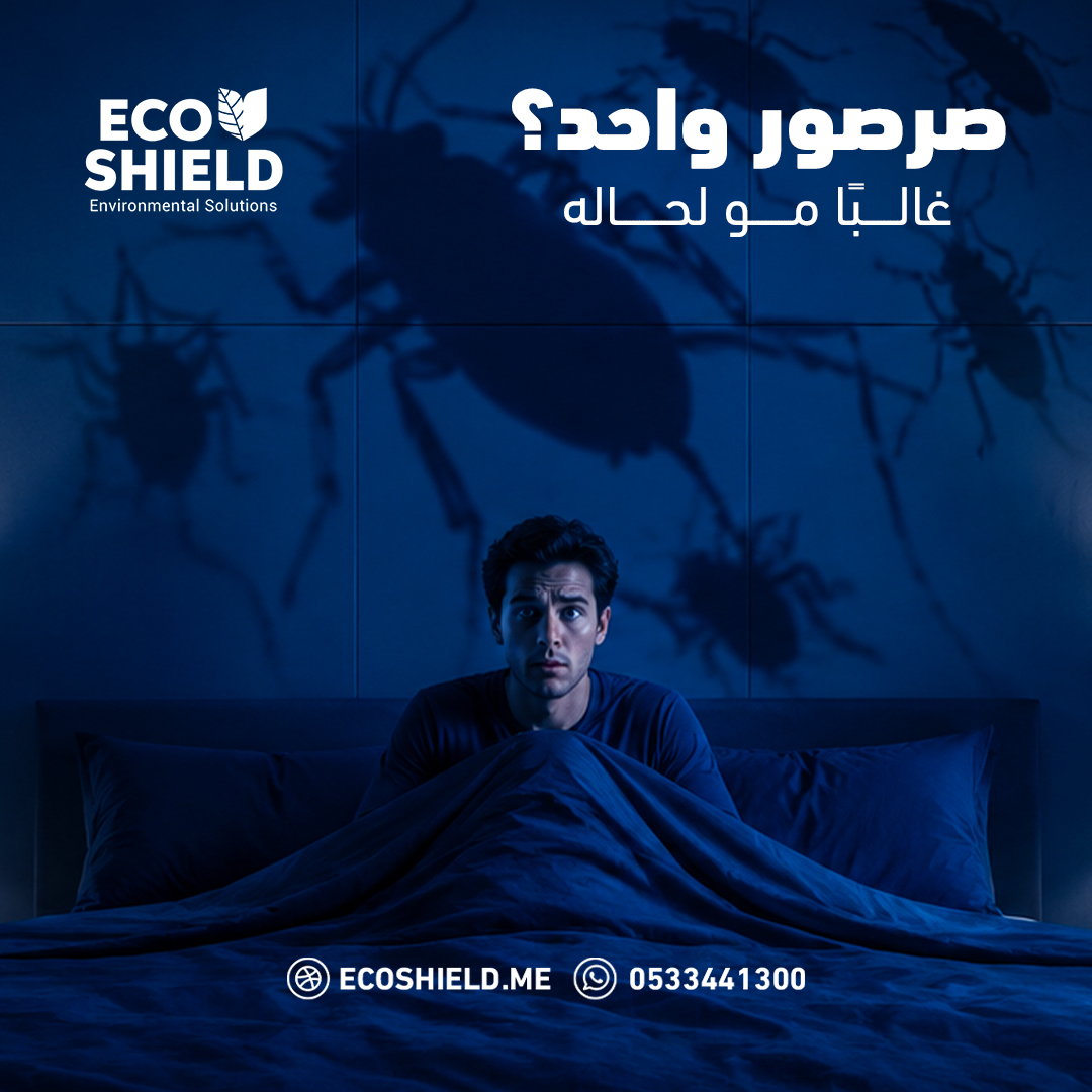 eco_shield_sa's tweet photo. شفت صرصور واحد؟ 👀
غالبًا المشكلة أكبر مما يظهر.

الصراصير تختبئ في أماكن مثل:
• خلف الثلاجة
• تحت الحوض
• فتحات الصرف
• الزوايا الرطبة

لا تنتظر الانتشار.
التعامل المبكر أسهل وأسرع.

📞 للتواصل والحجز عبر الإتصال و الواتساب: 0533441300 https://t.co/2KEi76L1MS