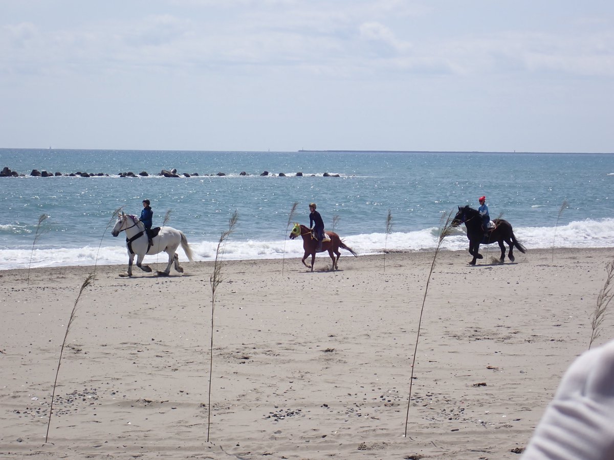 shizupaca's tweet photo. #海の日
さがら草競馬
大瀬崎
土肥町の旅人岬
駿河湾フェリー https://t.co/PUXLIhvKnF
