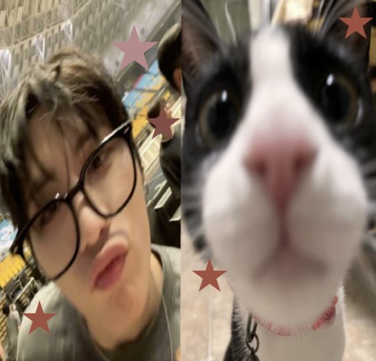 kati tweet media